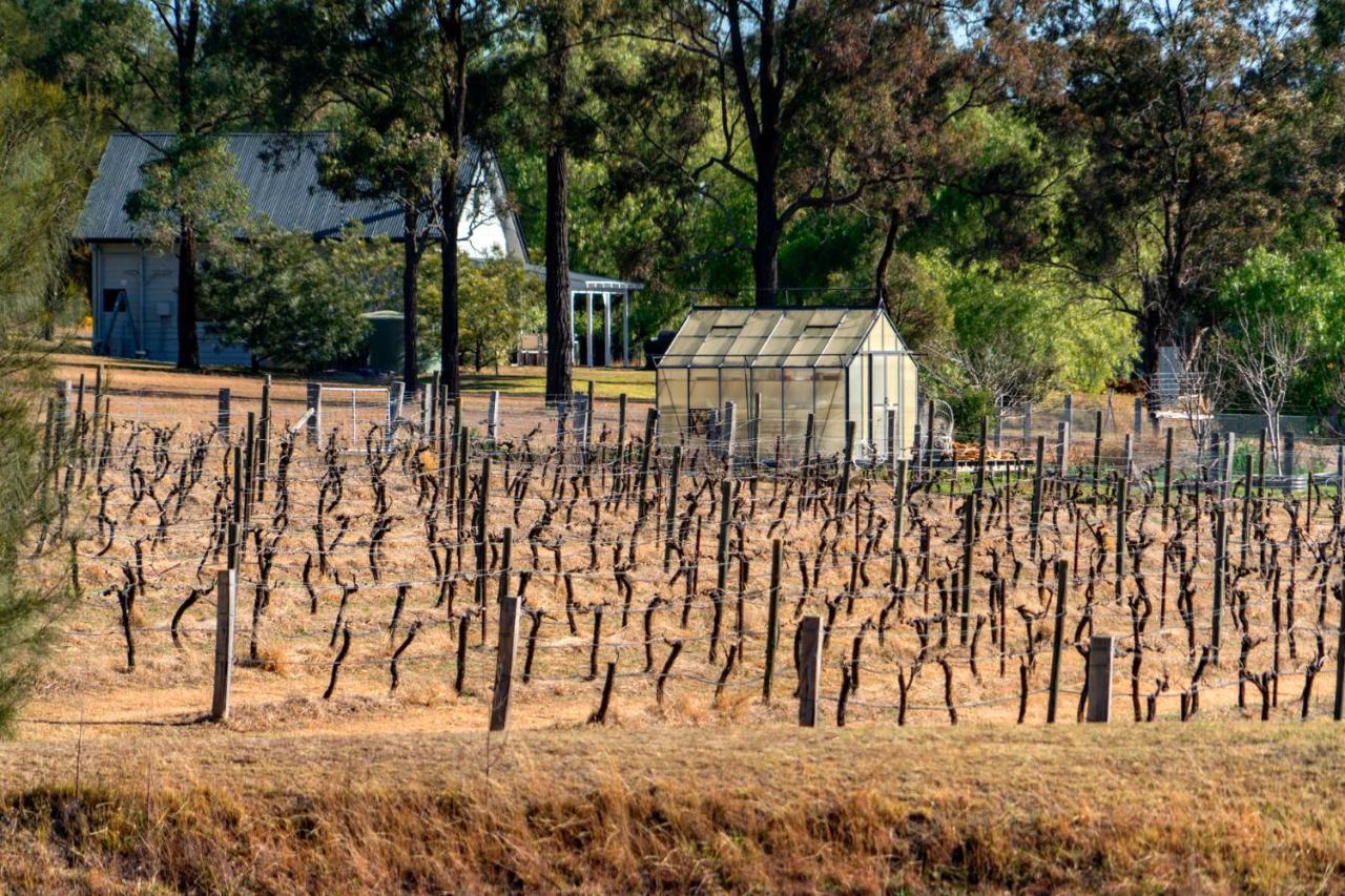 Thistle Hill Guesthouse - Walk To Many Wineries And Restaurants Pokolbin Exterior photo